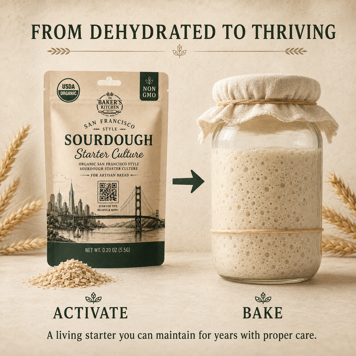 San Francisco-Style Sourdough Starter Culture